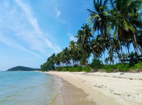 Resort Uma Ilha Tropical Oceano Palmeiras Praia Água Limpa Férias — Fotografia de Stock