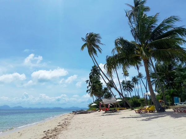 Resort Isola Tropicale Nell Oceano Palme Sulla Spiaggia Acqua Pulita — Foto Stock