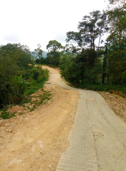 Asya Ormanlarında Zorlu Bir Yol Tayland Kırsal Kesimi — Stok fotoğraf