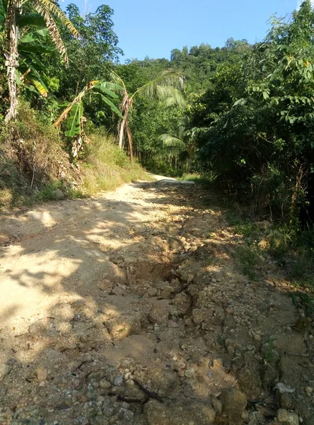 Asya Ormanlarında Zorlu Bir Yol Tayland Kırsal Kesimi — Stok fotoğraf