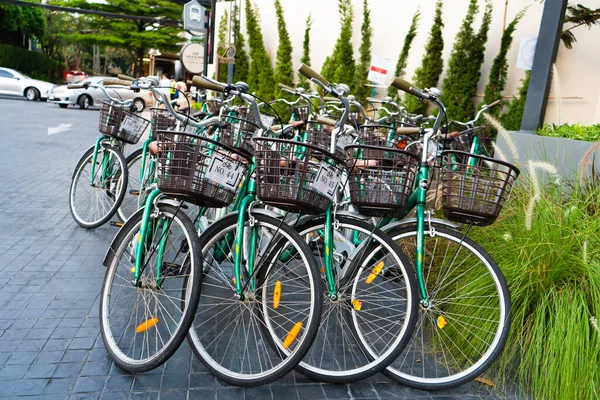 Bicycle Parking Bike Rental Identical Bicycles Parking Lot Samui Tailand — Stock Photo, Image