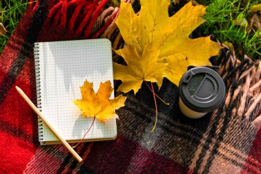 Sonbahar parkında sıcak bir battaniye ve bir fincan kahveyle boş vakit geçirmek. Sonbahar havası ve ruh hali.