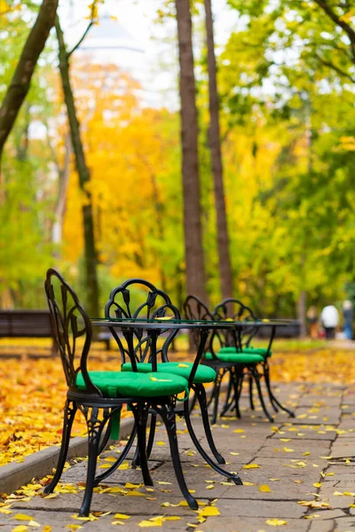 Parque Outono Com Folhas Amarelas Caídas Lugar Para Relaxar Com — Fotografia de Stock