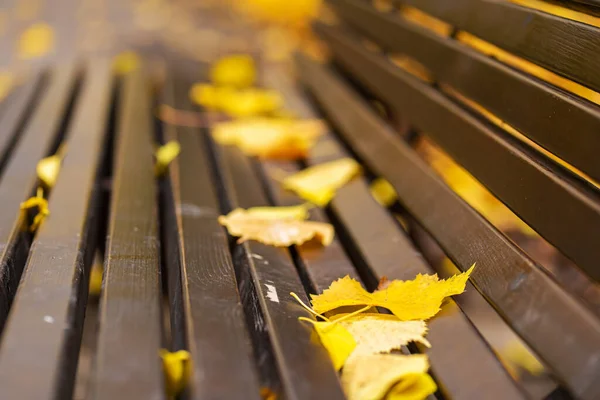 Kényelmes Pad Pihenésre Egy Őszi Parkban Sárga Levelekkel Őszi Hangulat — Stock Fotó