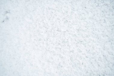 Yolda duran, dokunulmamış beyaz kar dokusu..