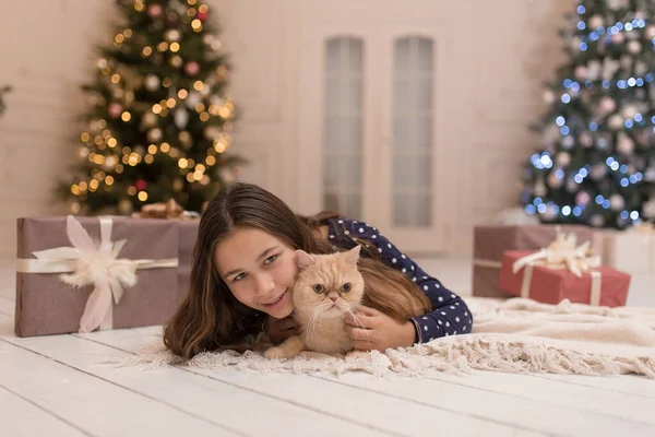 Menina Passa Férias Natal Com Seu Gato — Fotografia de Stock