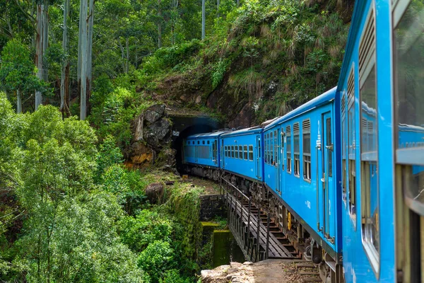 Trem Passageiros Azul Move Através Selva Sri Lanka — Fotografia de Stock