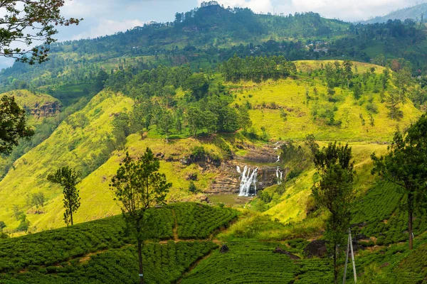 Malerische Naturlandschaft Grünteeplantagen Hochland Teeanbau — Stockfoto