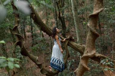 Kız ormanda büyük bir liana ağacının dalında oturuyor..