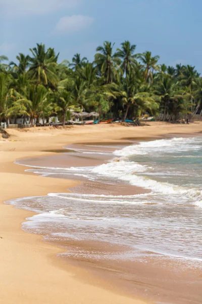 Adadaki mükemmel ıssız okyanus manzaralı plaj..
