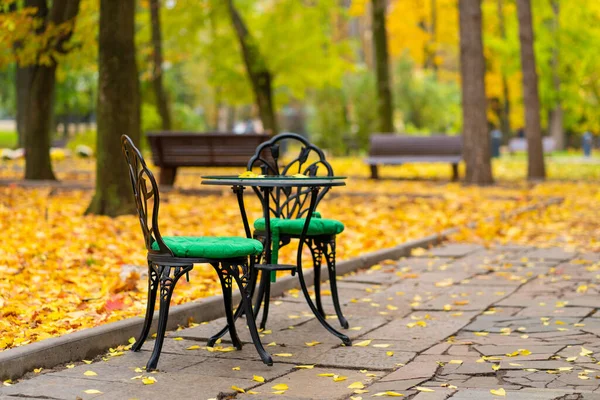 Parque Outono Com Folhas Amarelas Caídas Lugar Para Relaxar Com — Fotografia de Stock