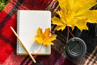 Sonbahar parkında sıcak bir battaniye ve bir fincan kahveyle boş vakit geçirmek. Sonbahar havası ve ruh hali.