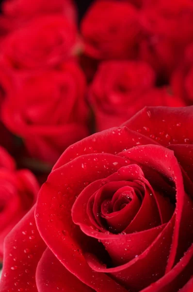 Gsdrtgatebirtramvayınyazdıklarıvar.