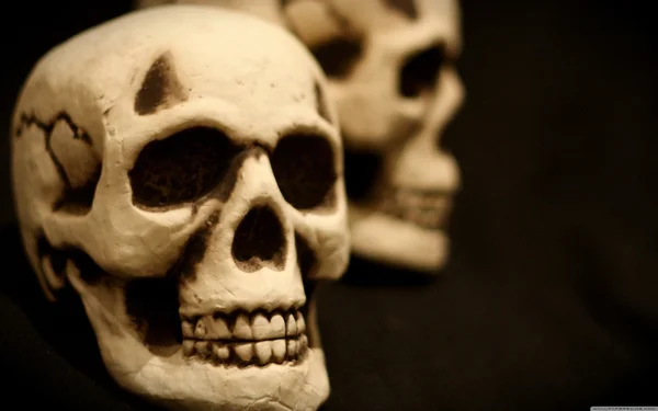 Christmas kırmızı çiçek arka yay ile vektör