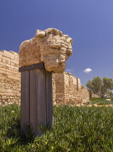 Lví hlava - antické ruiny fragment ve Caesarea.Israel — Stock fotografie