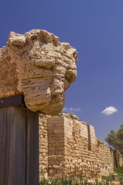 Aslan başı - antik kalıntılar Caesarea Ulusal Park.I parçası.