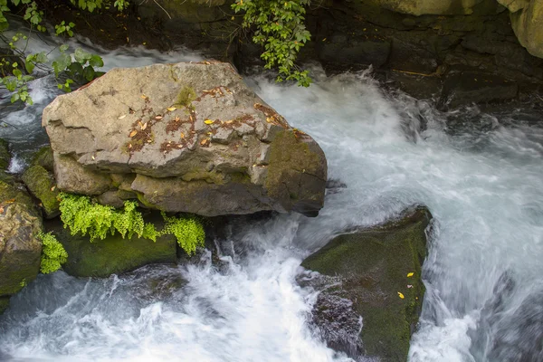 nehir hermon, banias tabiatı Kuzey İsrail