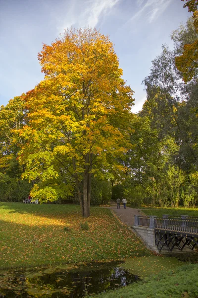 Eiserne Brücke im Katharinenpark, Puschkin, St. Peterburg — Stockfoto