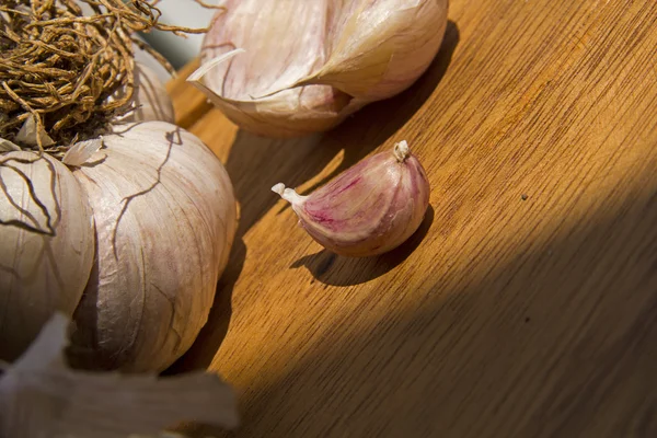 Garlic Cloves and bulb — Stock Photo, Image