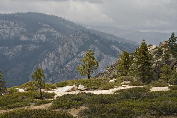 Vallée de Yosemite dans l'ouest de la Sierra Nevada montagnes de Califo — Photo