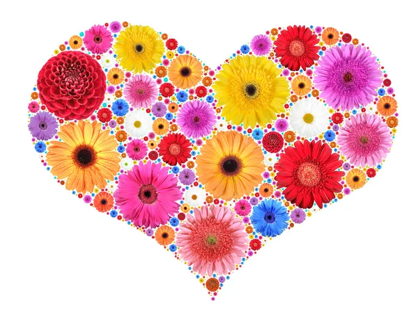 Serce symbol z motley kwiaty na białym tle — Zdjęcie stockowe