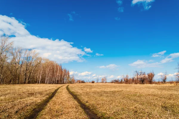 Bellissimo paesaggio rurale — Foto Stock