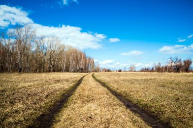 güzel kırsal manzara