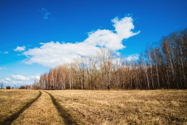 Bellissimo paesaggio rurale — Foto Stock