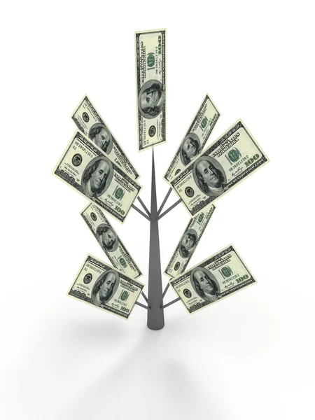 Money tree from dollar. Business concepts — Stock Photo, Image