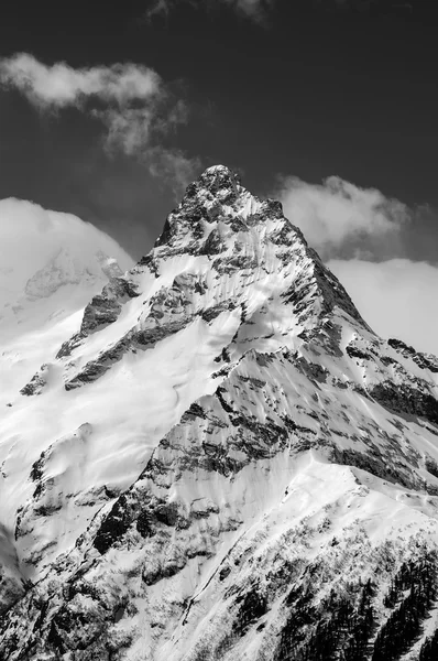 Zwart-wit winter bergen — Stockfoto