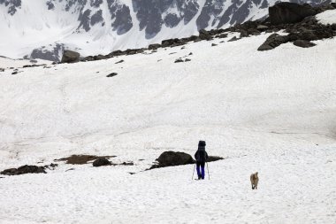 Uzun yürüyüşe çıkan kimse ve köpek Bahar, karlı dağlarda