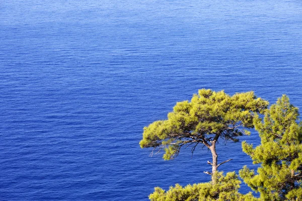 Top view on blue sunlight sea at sun day — Stock Photo, Image