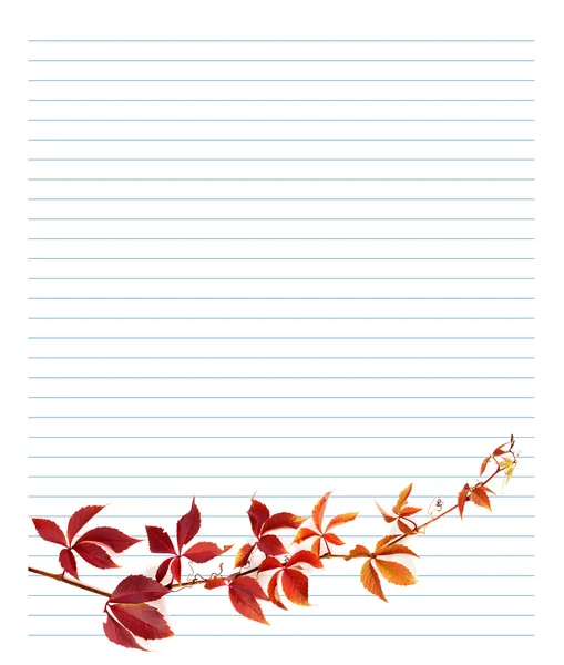 Red branch of grapes leaves on notebook paper — Stock Photo, Image