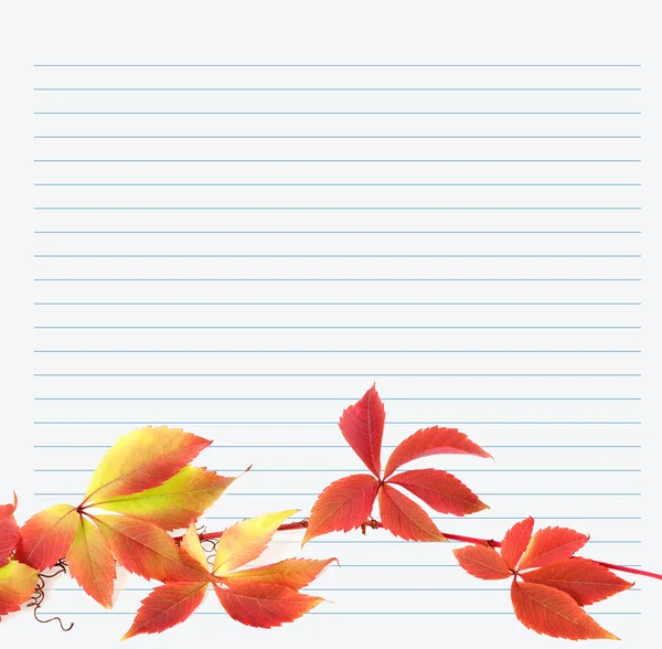 Multicolor branch of grapes leaves on notebook paper — Stock Photo, Image