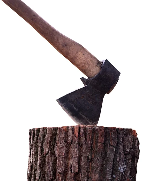 Stump with axe — Stock Photo, Image