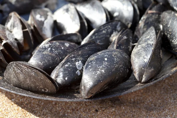 Freshly cooked mussels in metal tray on sand beach — Stock Photo, Image