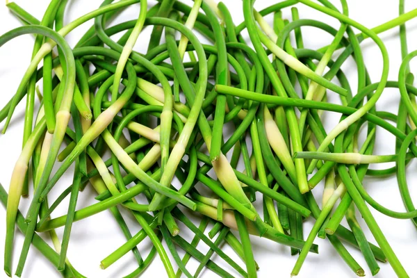 Fresh green garlic scape on white — Stock Photo, Image