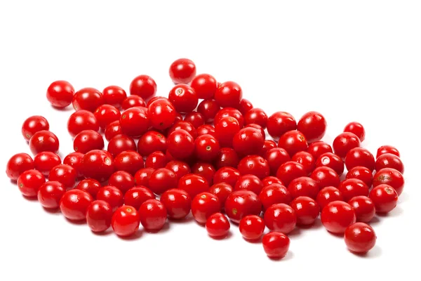 Mokré cherry rajče — Stock fotografie