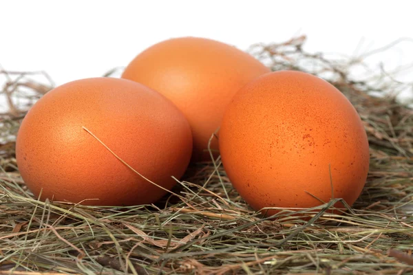 Three chicken eggs in nest — Stock Photo, Image