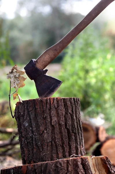 Axe in oak stump — Stock Photo, Image