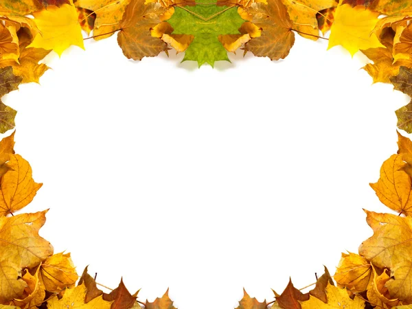Autumn maple-leafs — Stock Photo, Image