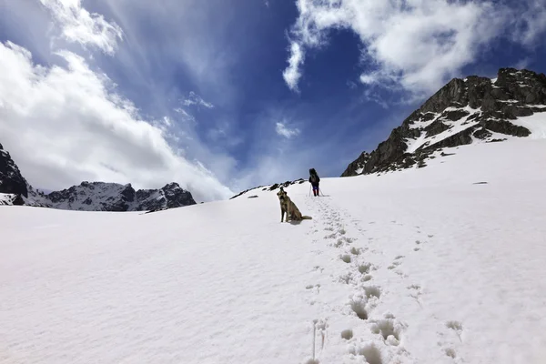 Cão e caminhantes na montanha de neve em dia de sol — Fotografia de Stock