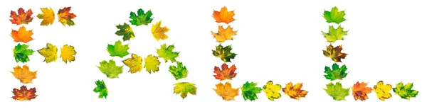 Letra f compuesta por hojas de otoño — Foto de Stock