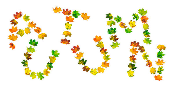 Word AUTUMN composed of autumn maple leafs