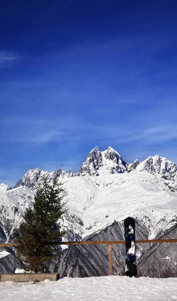 Snowboard Kivágott Fenyőfa Kilátóhelyen Sípályán Kilátás Hóra Mount Ushba Kaukázus — Stock Fotó