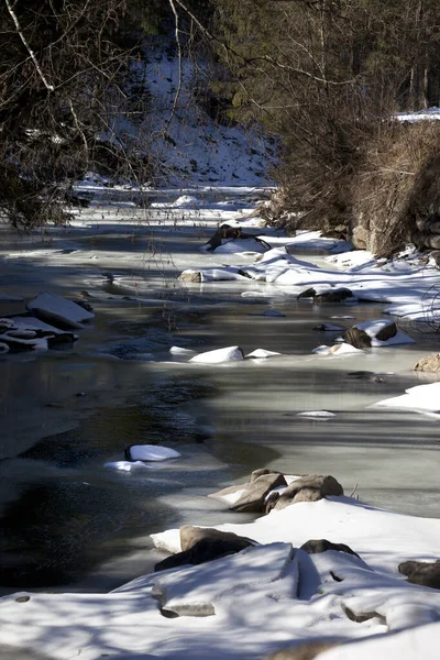 Frozen Mountain River Sun Winter Morning Ukraine Carpathian — Stock Photo, Image