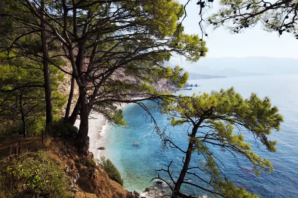 太陽の日に松の木を通して海のビーチでトップビュー 地中海 トルコ — ストック写真