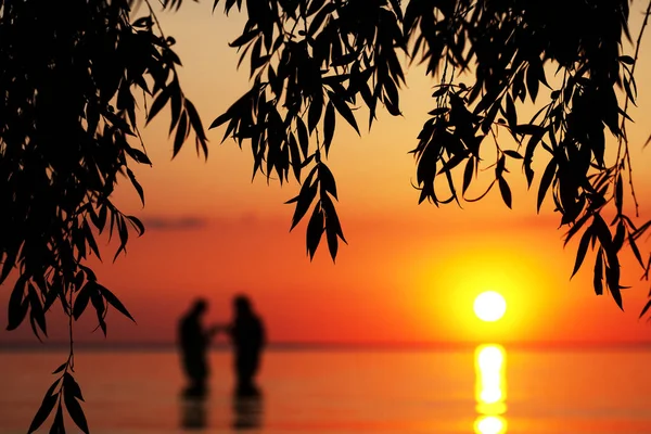 Blurred silhouette of young couple in love, standing in the sea at sunset. Silhouette of tree branches in the foreground.