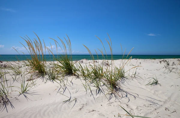 Голубое Небо Море Песок Пустынном Пляже Жаркий Летний День — стоковое фото