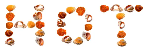 Hot Text Composed Seashells Isolated White Background — Stock Photo, Image